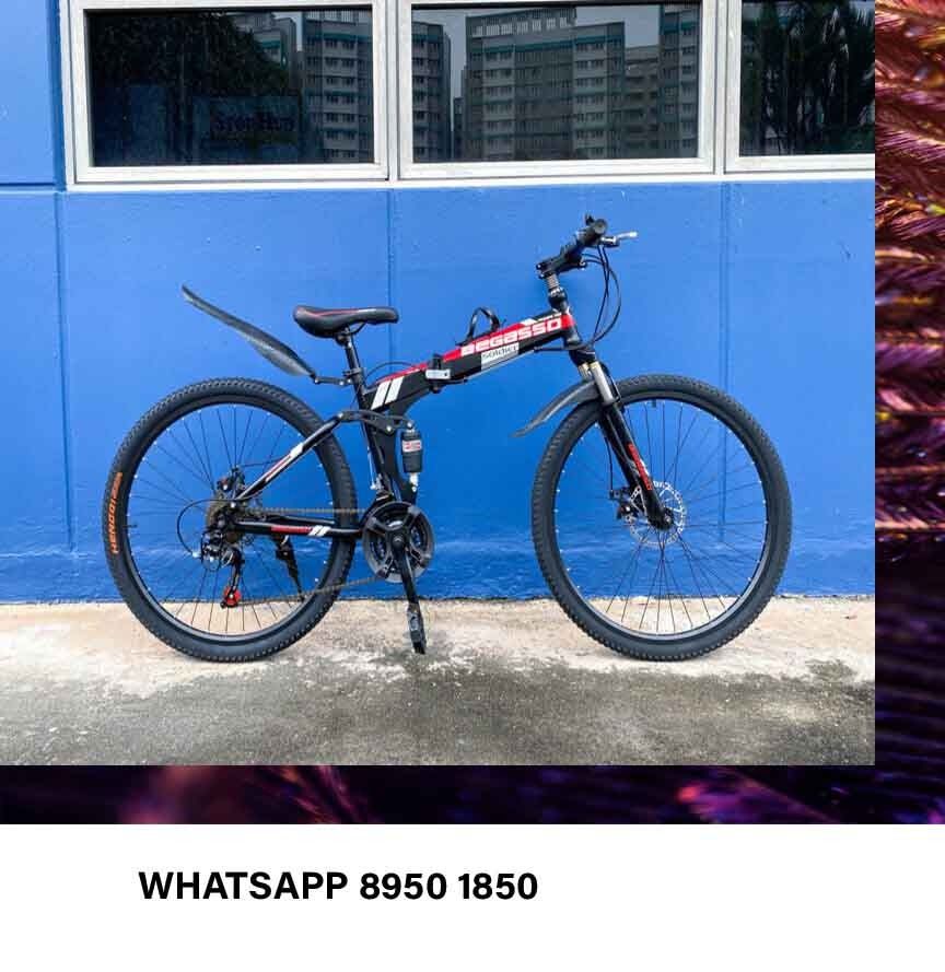 Begasso shimanos clearance