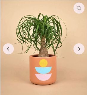 (Category: ) located in . Submitted by ourwardrobe (Listing ID 1335713715, Image 1). Description: .