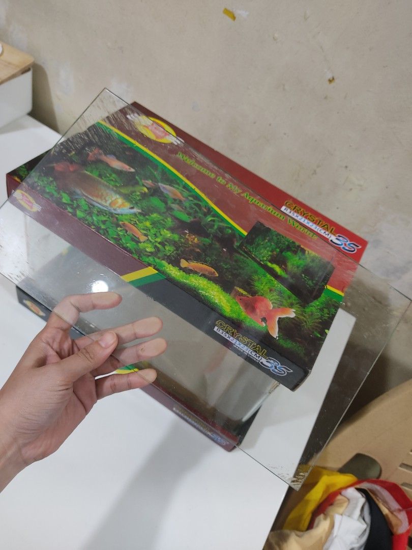 5 gallon curve aquarium (Category: Homes & Other Pet Accessories) located in Quezon City. Submitted by mrsbersabe_closet (Listing ID 1335872500, Image 3). Description: Like new pick up QC.
