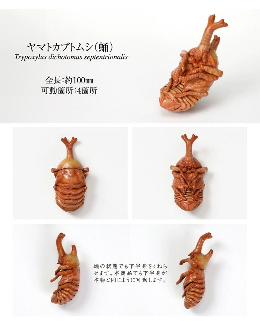 Bandai Beetle Gashapon Figure 6 (Category: Toys & Games) located in Singapore. Submitted by ksellcollection (Listing ID 1335885821, Image 1). Description: Postage 3$, Buy More Than 15$ Free Postage.