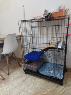 (Kategori: ) berada di . Dikirim oleh fnfbrandedstore (ID iklan 1335795903, Gambar 1). Deskripsi: .