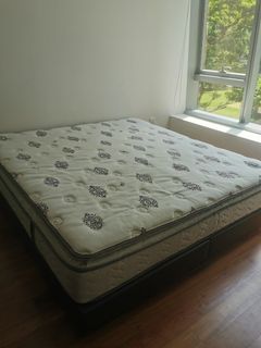 (Category: ) located in . Submitted by shuene (Listing ID 1335858152, Image 1). Description: .
