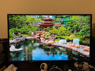 (Category: ) located in . Submitted by dillon_g (Listing ID 1335916306, Image 1). Description: .