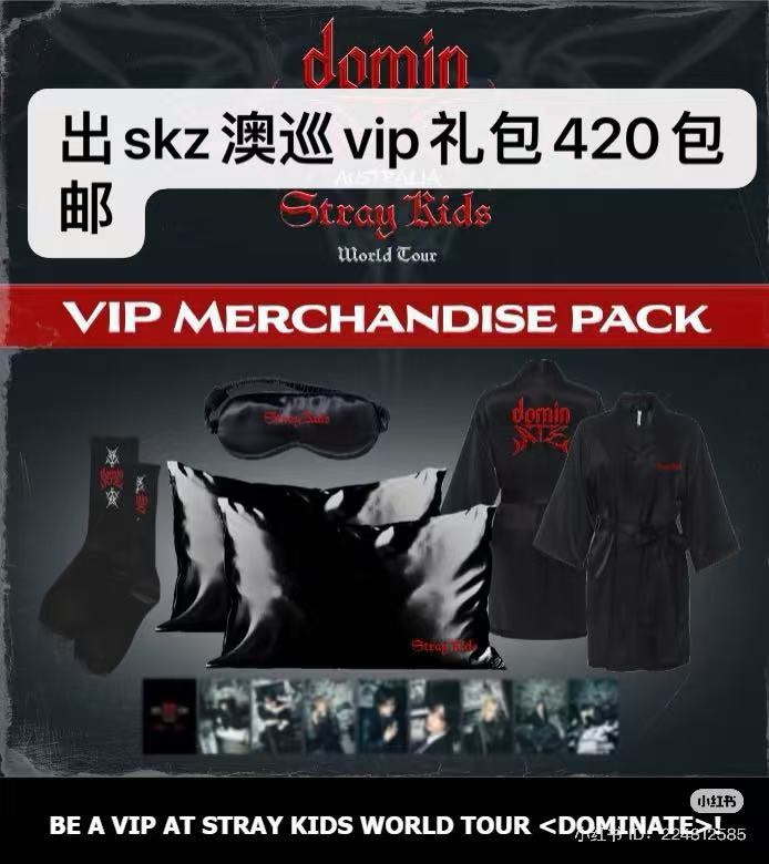 yes straykids dominate vip package