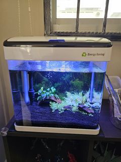 (Category: ) located in . Submitted by arrent (Listing ID 1335997011, Image 1). Description: .