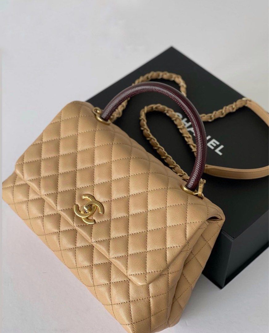 Chanel Coco Handle Bag Beige Lizard Handle Luxury Bags Wallets on Carousell