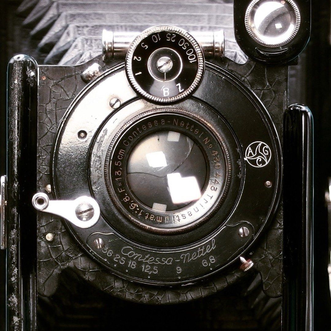 Contessa Nettel Onito (1919-1926) Vintage / Antique Plate Camera ...