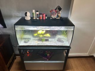 (Category: ) located in . Submitted by hateemsmith91 (Listing ID 1336144657, Image 1). Description: .