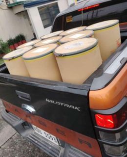 Nissan Chlorine