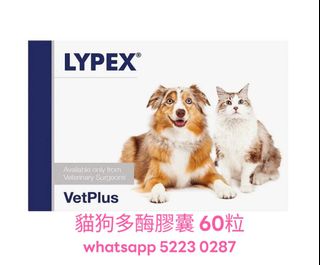 （分類：）位於 。 由 supplement52230287 提交（商品編號 1336058146，圖片 1）。簡介： 。