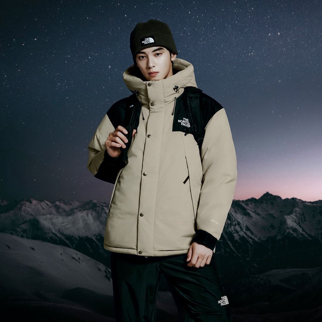 XS XXXL 24FW TNF THE NORTH FACE M S MOUNTAIN DOWN JACKET RDS DOWN NJ1DQ04A dryvent waterproof goose down Winter hoodie Men s Fashion Coats Jackets and Outerwear on Carousell