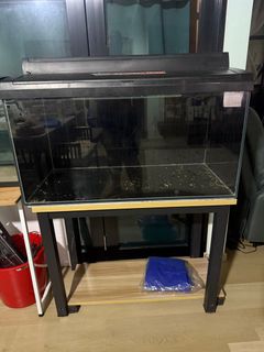 (Category: ) located in . Submitted by awenglah (Listing ID 1336323640, Image 1). Description: .