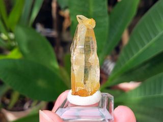 由 Sunbowforest (刊登 ID 1336222863，圖片 1) 提交，位於 的 (類別：)，說明：。