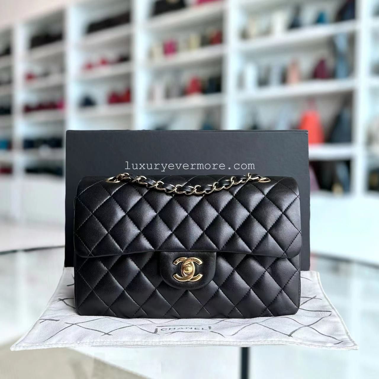 Chanel Classic Flap Small 23CM Quilted Lambskin Black Gold Hardware Series 12 Luxury Bags Wallets on Carousell