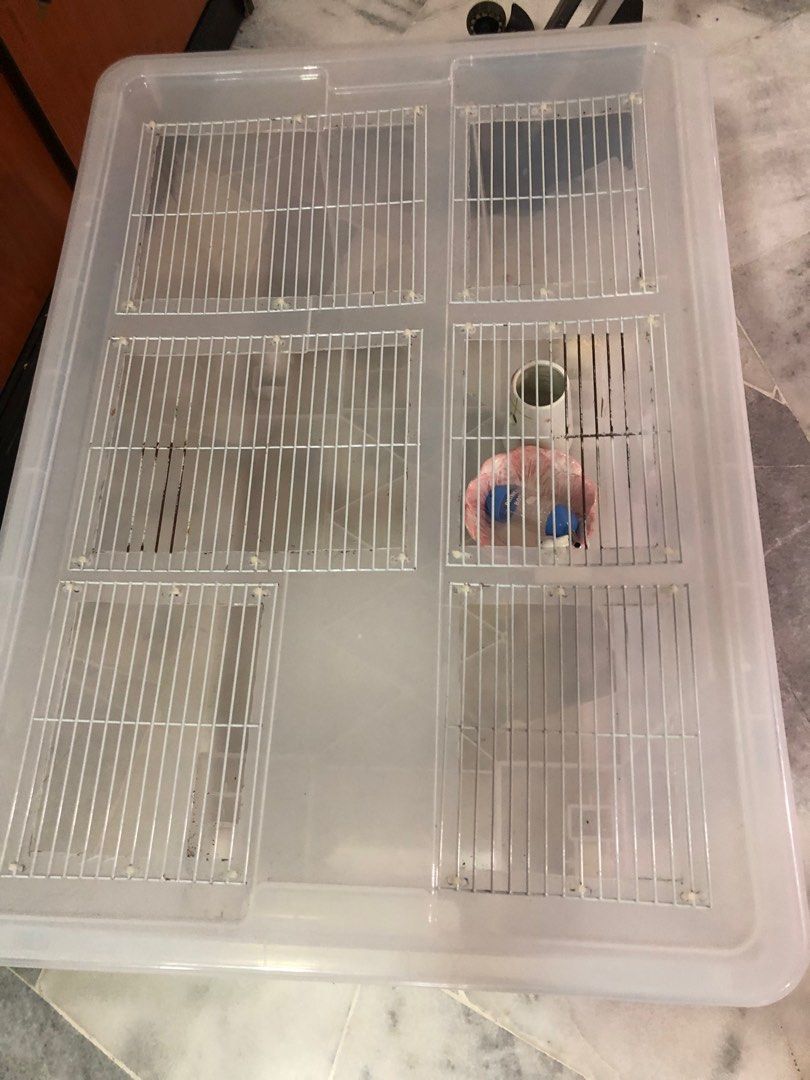 Picture of Ikea Samla modified hamster cage, Pet Supplies, Homes & Other Pet ...