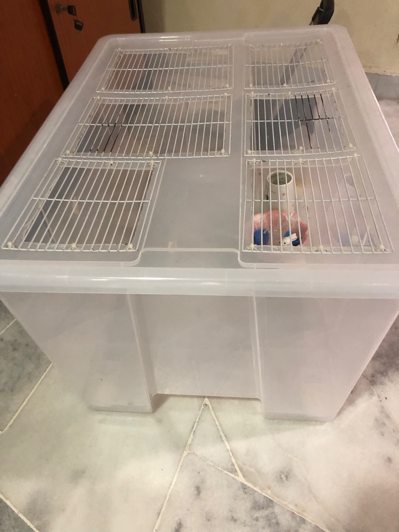 Beautiful view of Modifying Hamster Cage Availability