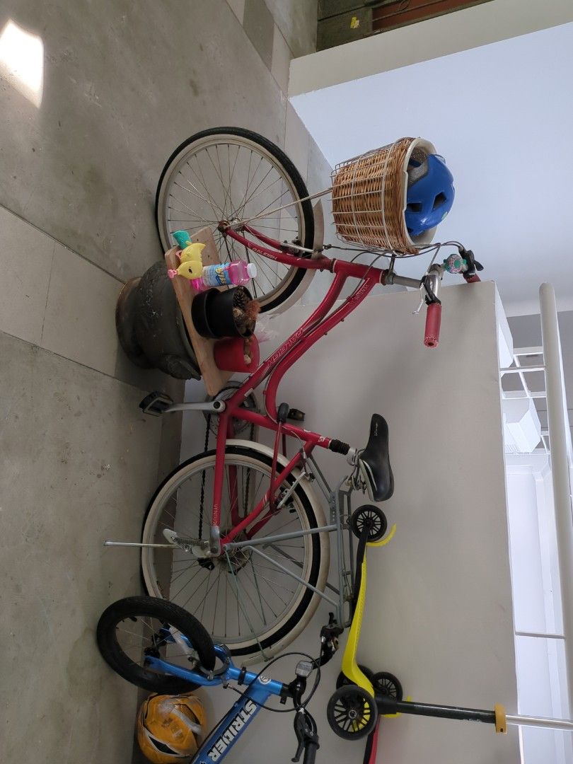 Raleigh bikes venture new arrivals