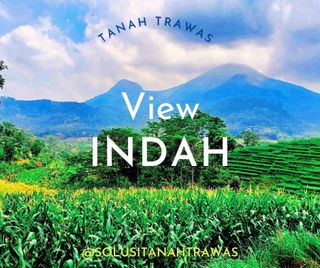(Kategori: ) berada di . Dikirim oleh majlistadi63510 (ID iklan 1336150425, Gambar 1). Deskripsi: .