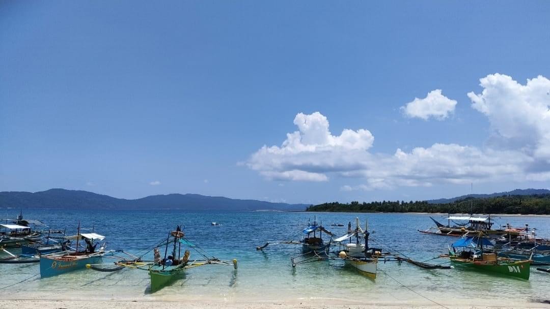 (Category: ) located in . Submitted by judeo. (Listing ID 1336476198, Image 1). Description: .