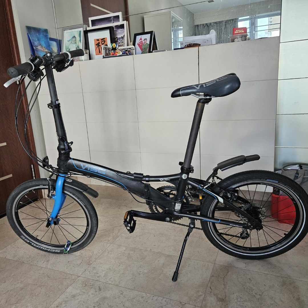dahon_visc_p18_1731673220_0114