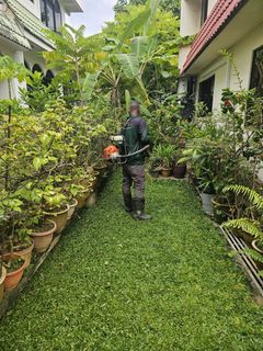 (Category: ) located in . Submitted by greenamuletslandscape (Listing ID 1336483473, Image 1). Description: .
