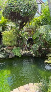 (Category: ) located in . Submitted by greenamuletslandscape (Listing ID 1336469045, Image 1). Description: .
