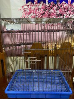 (Category: ) located in . Submitted by odatuharon (Listing ID 1336383800, Image 1). Description: .