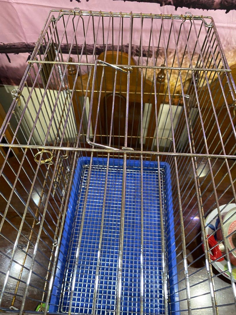 LARGE CAGE (Category: Homes & Other Pet Accessories) located in Las Pinas. Submitted by odatuharon (Listing ID 1336383800, Image 2). Description: PTPA C1 Large Cage Price: 1.8k (Original price from cartimar 2.8K) Height 64cm Length 52cm Width 33cm Location: Las Piñas City Reason for selling: need to change cage nakakalusot kasi grlider sa butas.