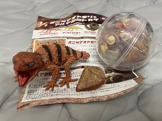 由 harperchenyy (刊登 ID 1336663247，圖片 1) 提交，位於 的 (類別：)，說明：。