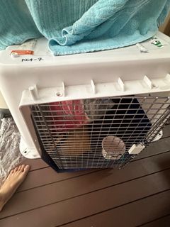 (Category: ) located in . Submitted by shirobryant (Listing ID 1336579673, Image 1). Description: .