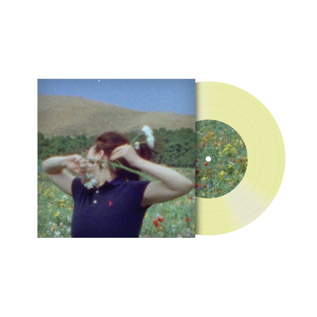 Billie Eilish - Birds Of A Feather 7