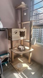 (Category: ) located in . Submitted by tikaliciouss (Listing ID 1336547884, Image 1). Description: .