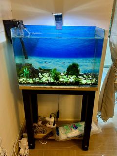 (Category: ) located in . Submitted by onyabikem8 (Listing ID 1336524407, Image 1). Description: .