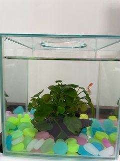 (Category: ) located in . Submitted by shz670 (Listing ID 1336525260, Image 1). Description: .