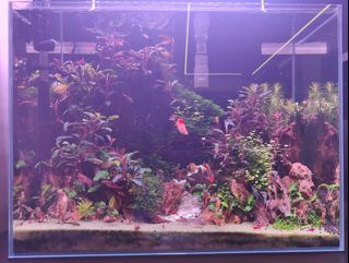 (Category: ) located in . Submitted by t3dder (Listing ID 1336629714, Image 1). Description: .