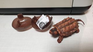 (Category: ) located in . Submitted by toysmad (Listing ID 1336635767, Image 1). Description: .