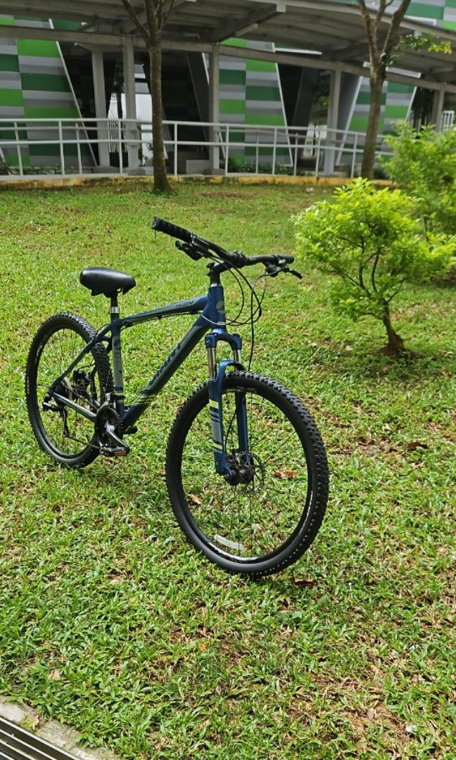 GIANT Aluxx 6000 series butted tubing bicycle Sports Equipment Bicycles Parts Bicycles on Carousell