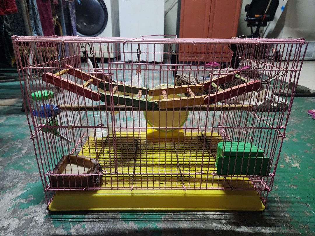 Sangkar sugar glider outlet