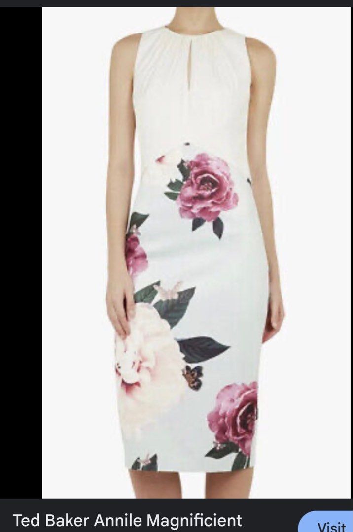 Ted baker dress spliced sleeveless dress Women s Fashion Dresses Sets Dresses on Carousell