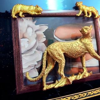 (Category: ) located in . Submitted by WildlyInStock (Listing ID 1336639751, Image 1). Description: .