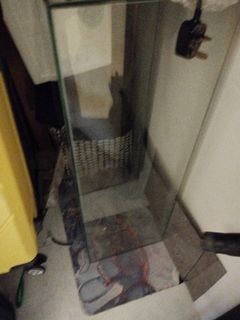 (Category: ) located in . Submitted by feeweet1982 (Listing ID 1336682716, Image 1). Description: .