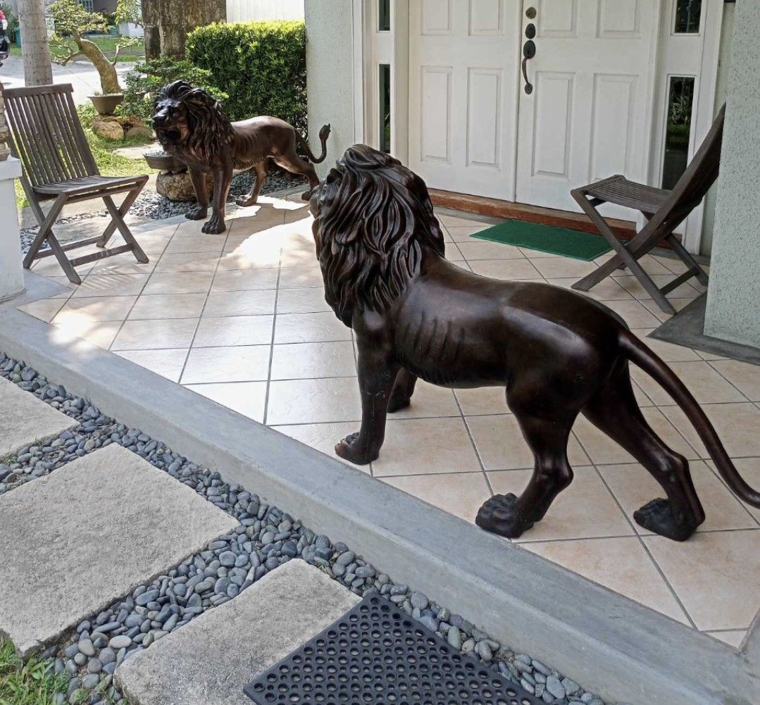 Brass life Size lion pair statue display (Category: Figurines & Statues) located in Manila. Submitted by kurukutuk (Listing ID 1336834747, Image 1). Description: brass life Size lion pair statue display 34 x 58 inches HxL made of brass.