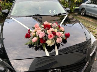 (Category: ) located in . Submitted by 5stonesflorist (Listing ID 1336869480, Image 1). Description: .