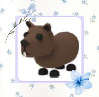 (Category: ) located in . Submitted by ya1378 (Listing ID 1336753106, Image 1). Description: .