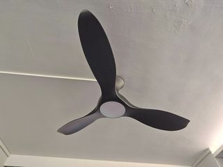 (Category: ) located in . Submitted by chill_bills (Listing ID 1336716893, Image 1). Description: .
