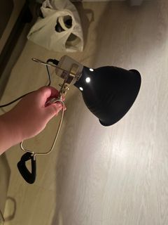 (Category: ) located in . Submitted by franny123 (Listing ID 1336850297, Image 1). Description: .