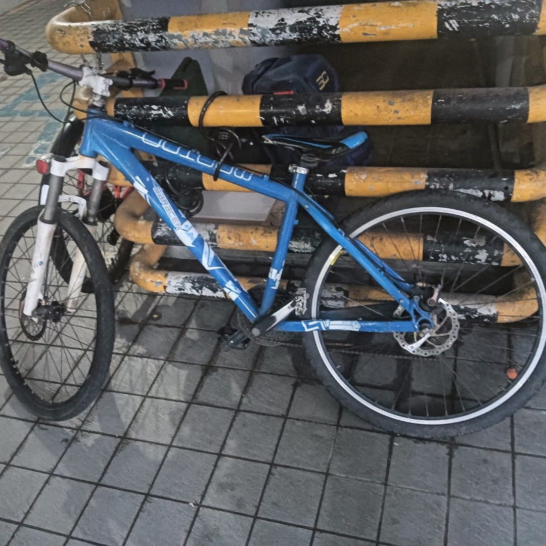 Carousell used bicycle online