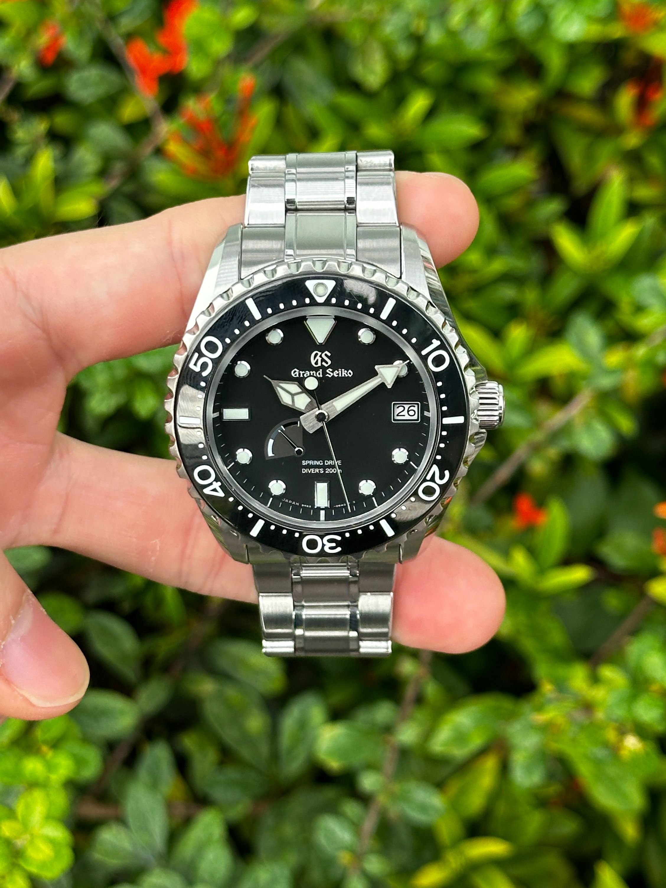 2020 Grand Seiko SBGA229G SBGA229 Sports Diver Spring Drive Luxury Watches on Carousell
