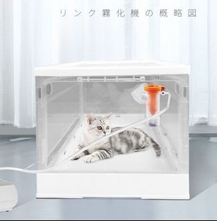 （分類：）位於 。 由 .great.day. 提交（商品編號 1336917697，圖片 1）。簡介： 。