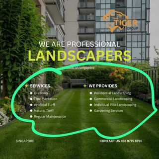 (Category: ) located in . Submitted by TIGER_LANDSCAPE (Listing ID 1336896389, Image 1). Description: .